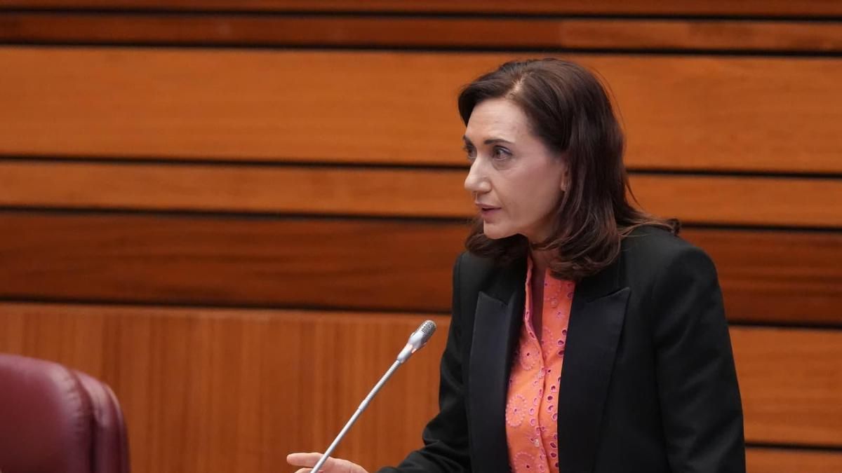 UPL decide este miércoles si acude a las elecciones generales con la presión de formar una coalición leonesista