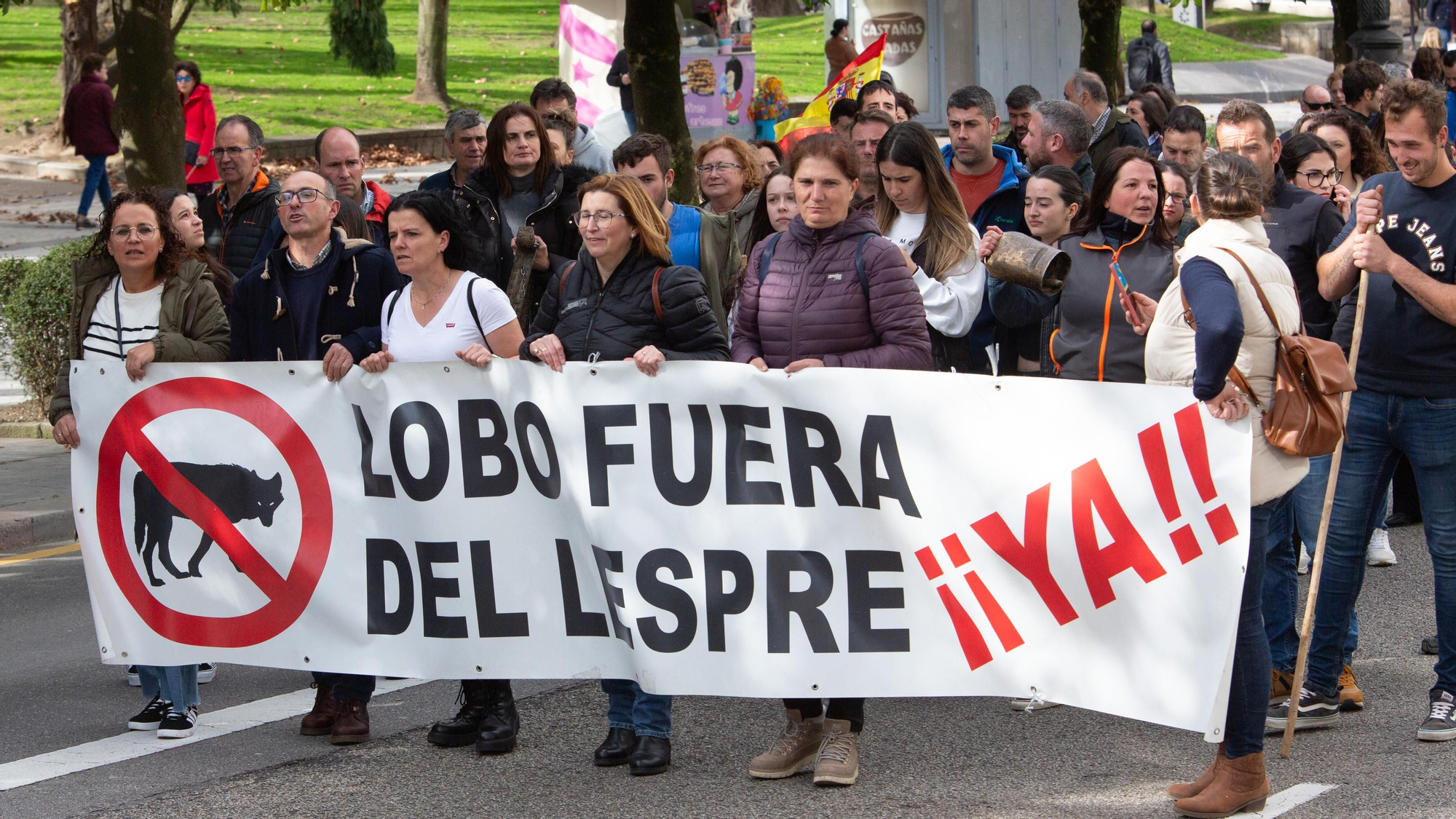 Manifestación que recorrió las calles de Oviedo