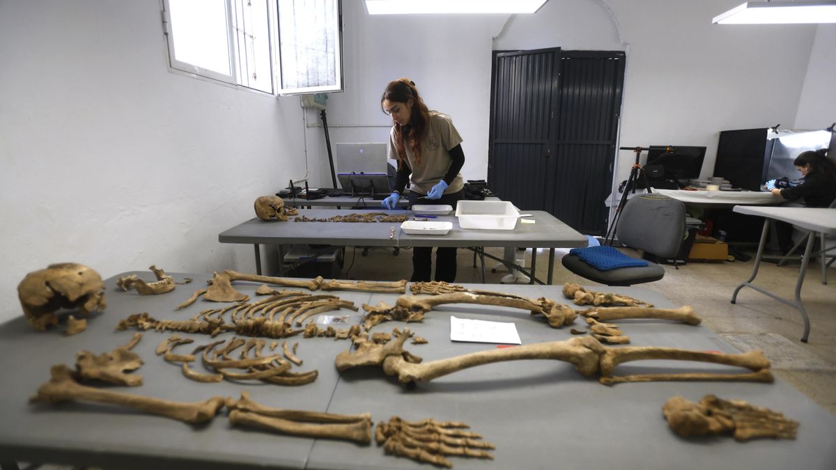 Reconstrucción de cuerpos durante los trabajos de exhumación en una fosa común del cementerio de la Salud de Córdoba.