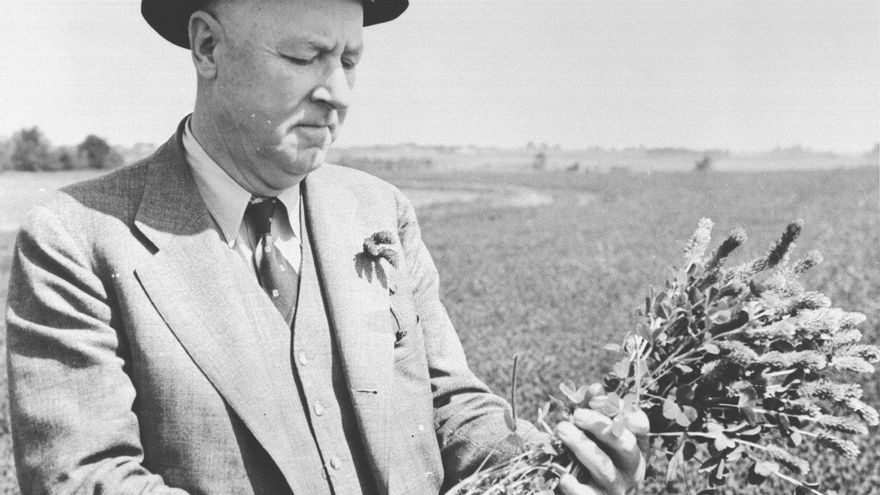 Día Internacional de la Conservación del Suelo: ¿por que se celebra cada 7 de julio?