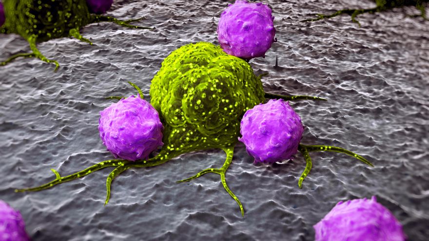 La metástasis del cáncer de mama se agudiza por la noche