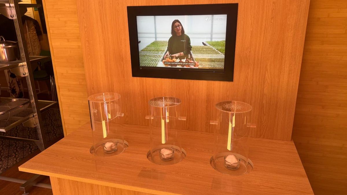 El Museo de la Verdura de Calahorra estrena dos salas multisensoriales para vivir la huerta con los cinco sentidos