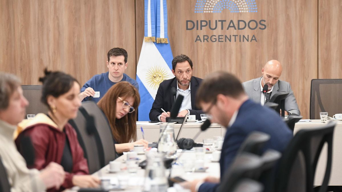 El presidente de la comisión, Maximiliano Ferraro, junto a Juan Marino, el secretario de la comisión