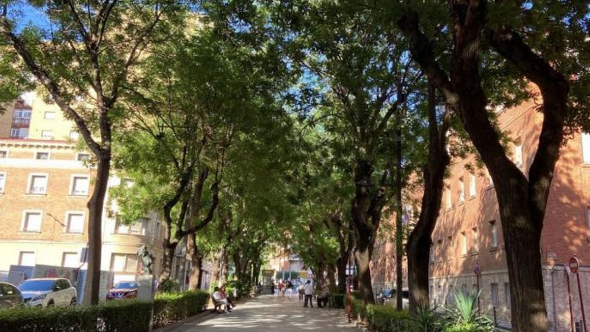 Paseo del doctor Fernández Iparraguirre, en Guadalajara
