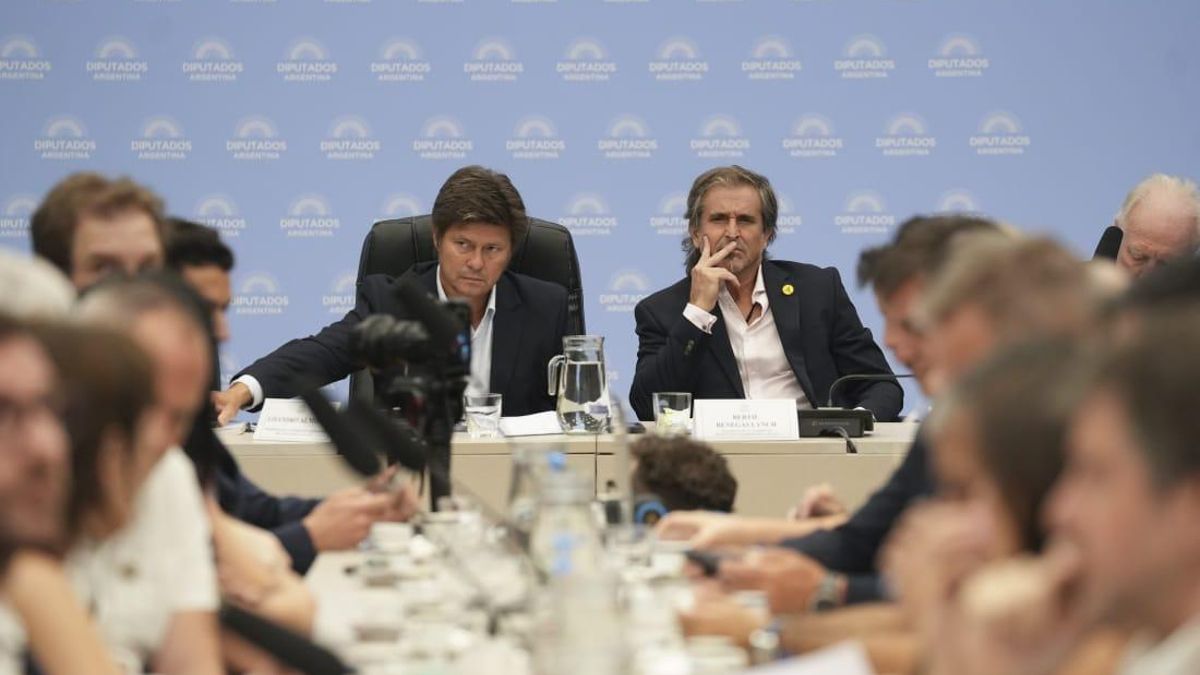 Los presidentes de la comisión de Trabajo, Lisandro Almirón, y de Presupuesto, "Bertie" Benegas Lynch