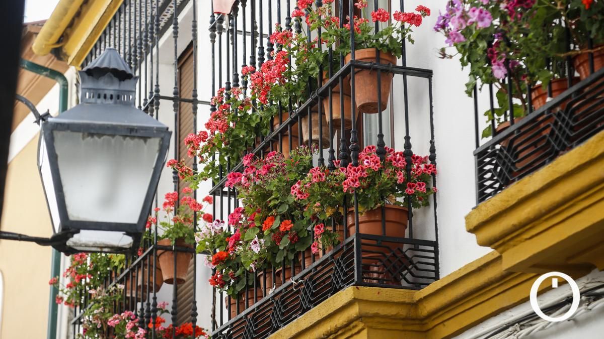 Rejas y Balcones en la C/ Pedro Fernández, 6