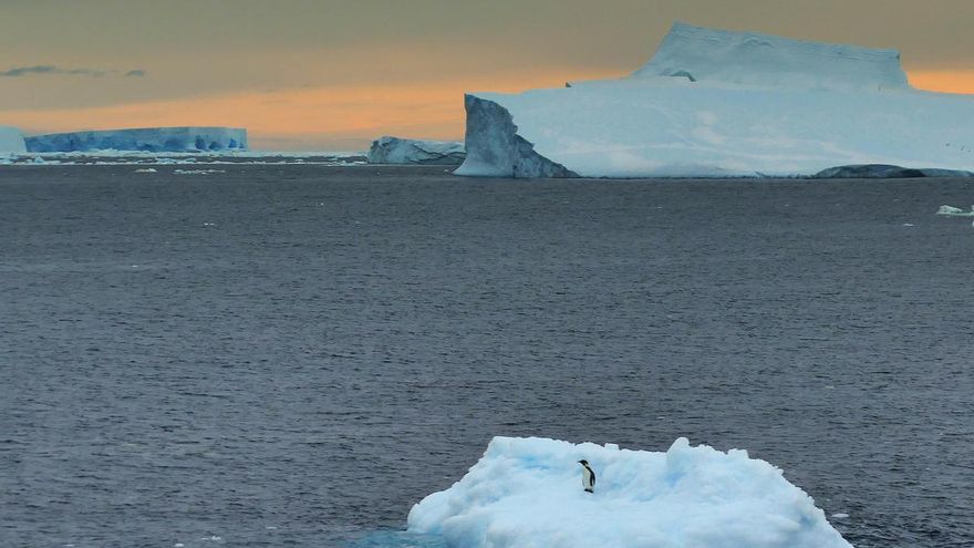Los polos de la Tierra se derriten en tiempo récord, con el peor invierno de la historia en la Antártida