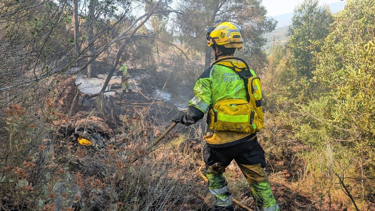Cierre total de los 17 parques naturales valencianos por riesgo extremo de incendios: prohibido circular a pie o en vehículo