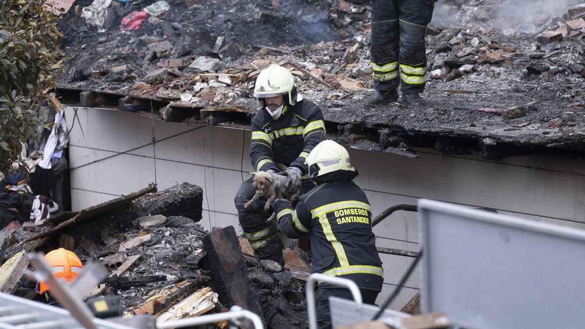 Bomberos de Santander rescatan a un perro entre los escombros.