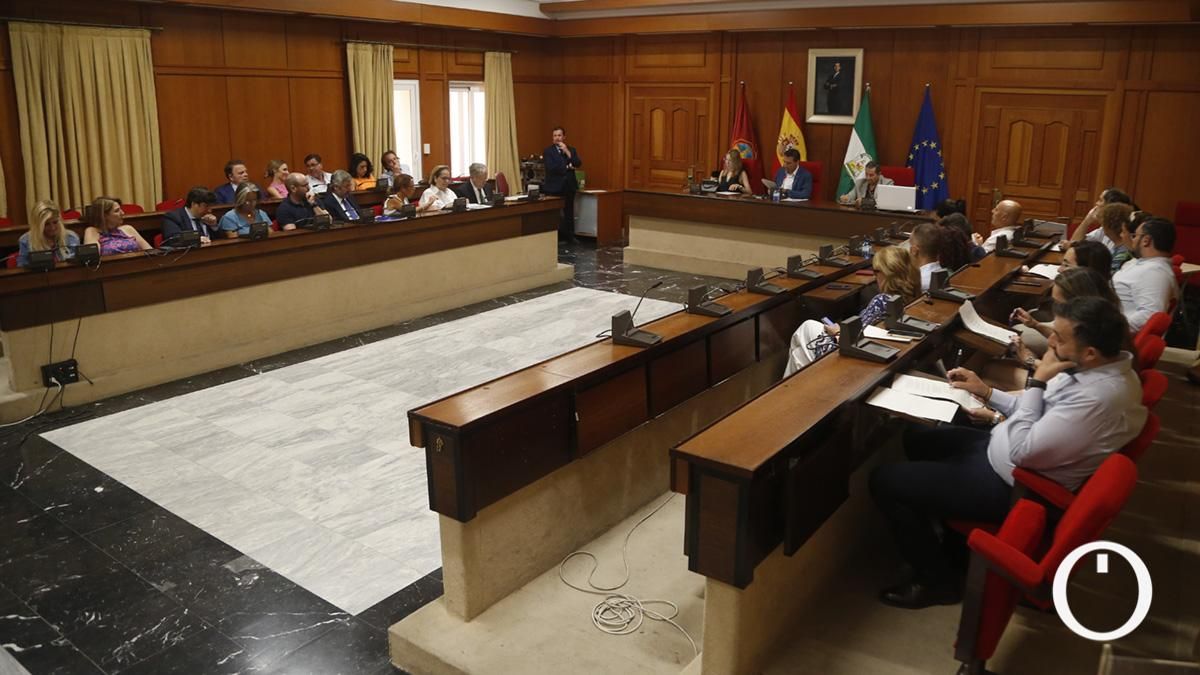 Pleno Extraordinario organizativo