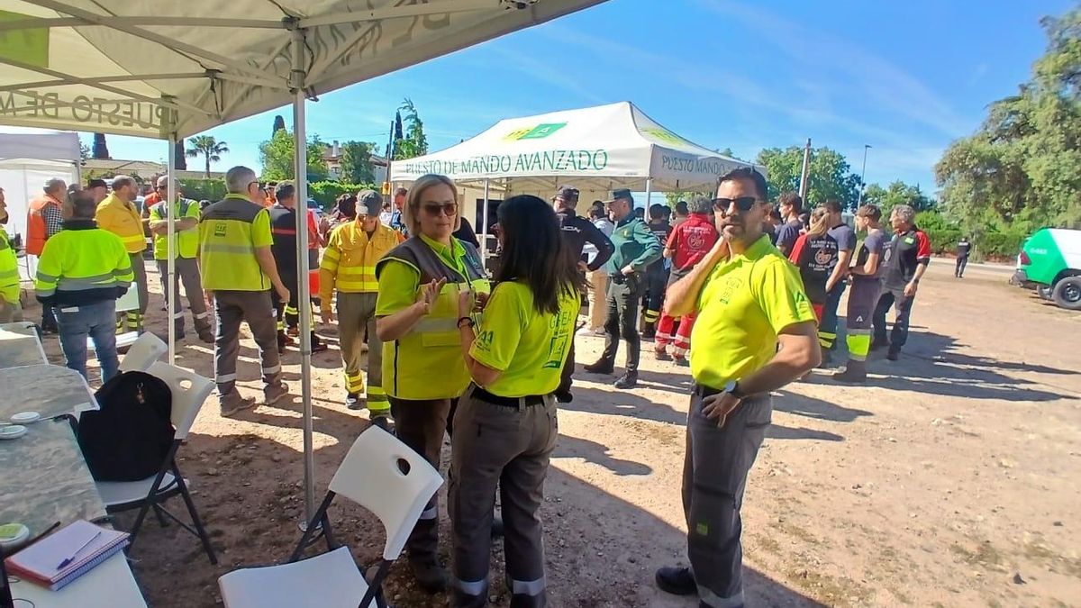 Simulacro de incendio forestal en Santo Domingo.