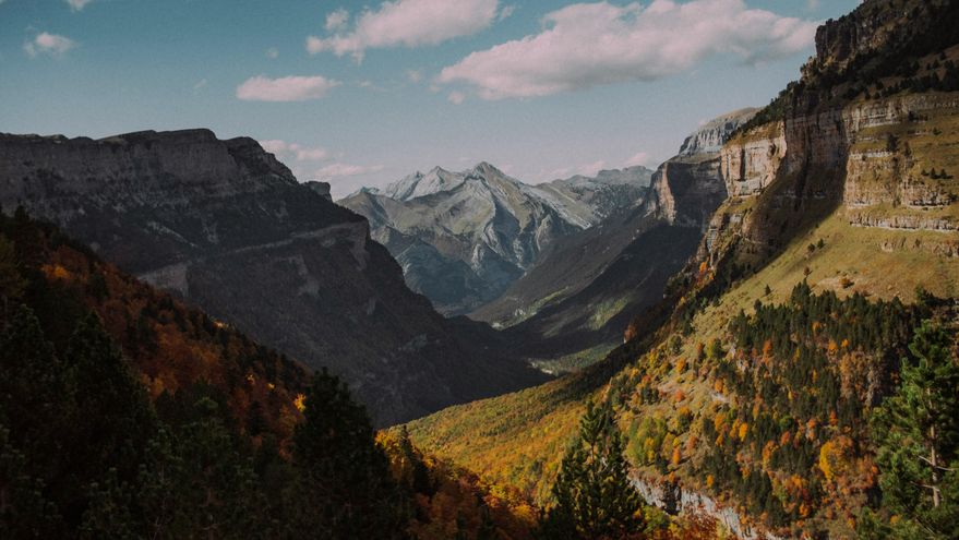 10 bosques de Aragón en los que disfrutar de un paisaje de ensueño este otoño