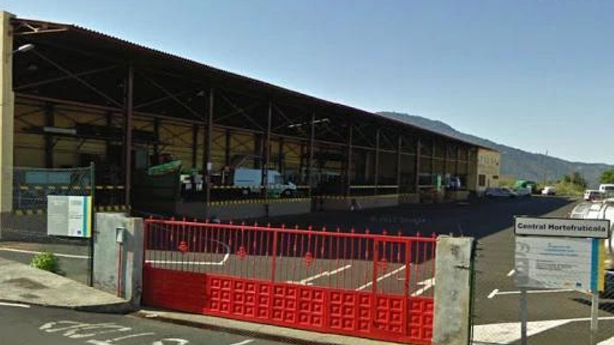 Central Hortofrutícola  de La Palma, en la zona de Buenavista  (Breña Alta).