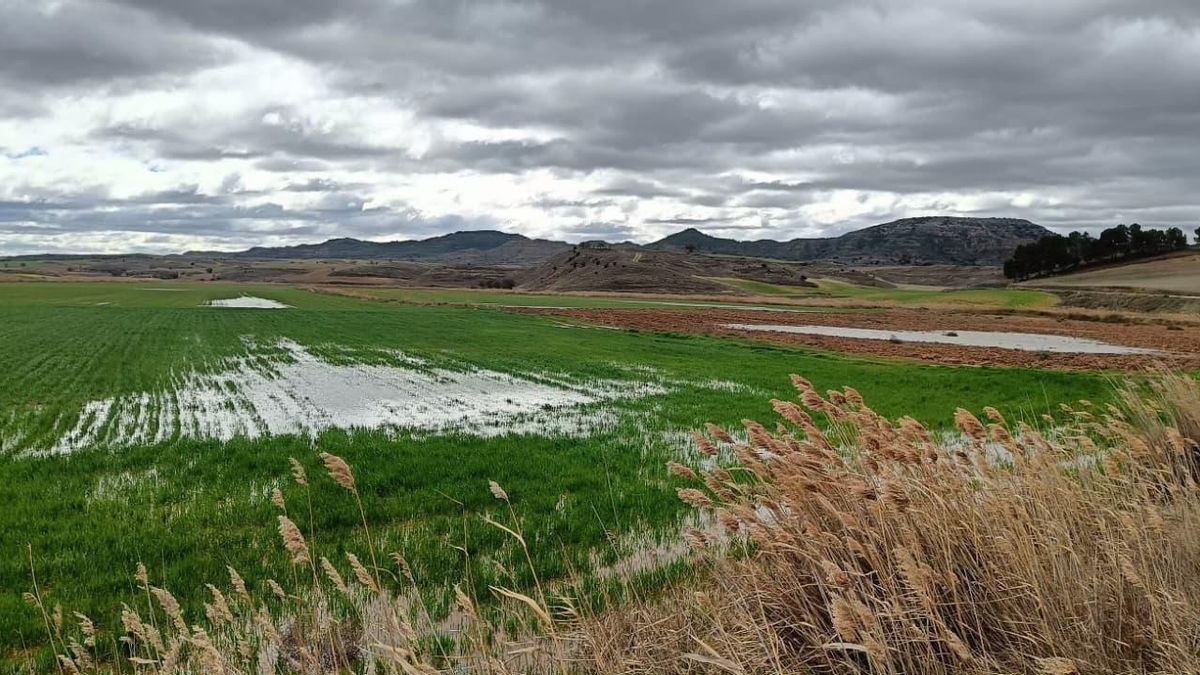 Campos encharcados