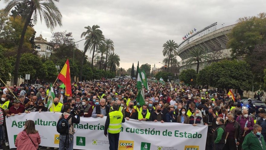 El sector agrario andaluz se moviliza para demandar "atención y soluciones" en el campo