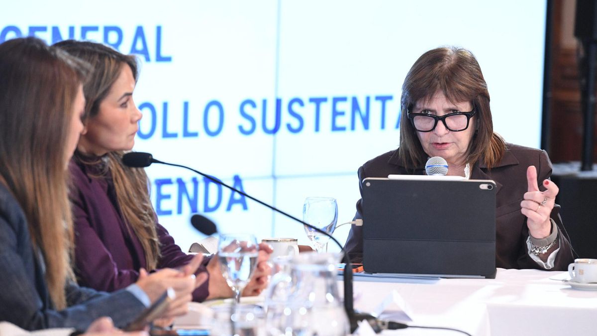 Patricia Bullrich en el Senado