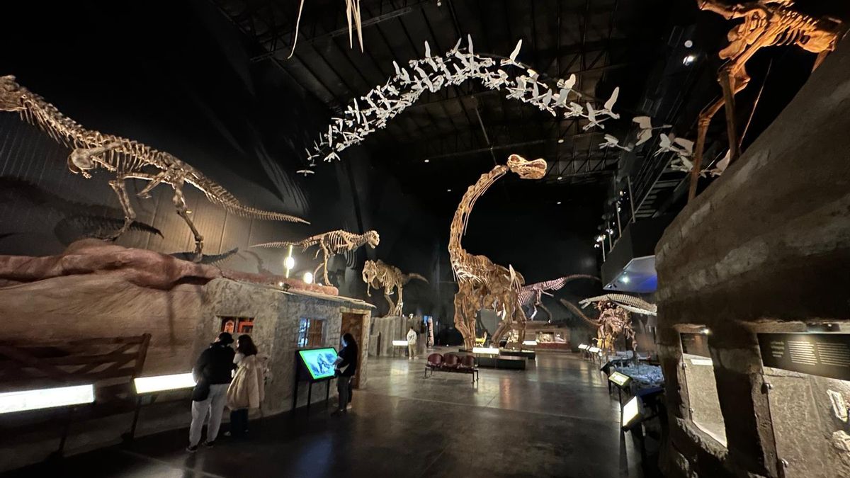 Sala dedicada a los grandes dinosaurios del Cretácico en el Museo Paleontológico Egidio Feruglio de Trelew.
