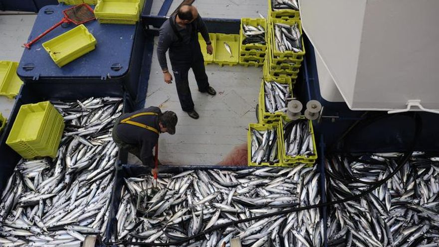 La pesca vasca mira a Europa: qué se juegan los arrantzales en estas elecciones