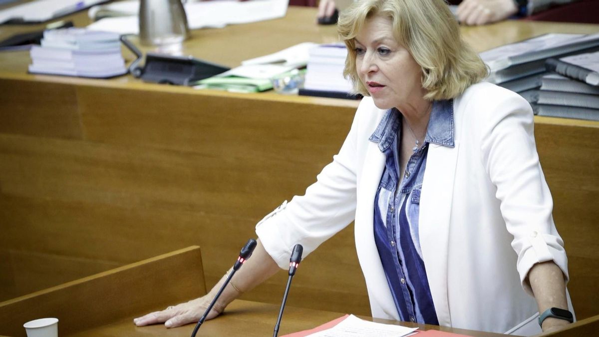 La diputada socialista Marisa Navarro, en las Corts.