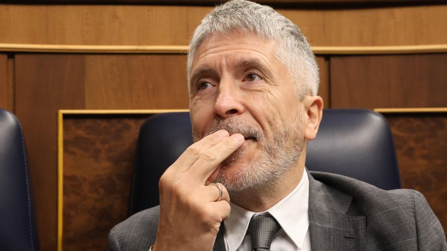 El ministro de Interior, Fernando Grande-Marlaska, durante una sesión de control al Gobierno, a 28 de mayo de 2025, en Madrid (España)