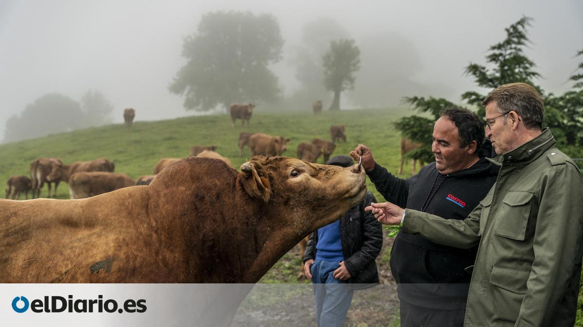 La visita a Cantabria de los líderes de PP y Vox visualiza en campaña ...