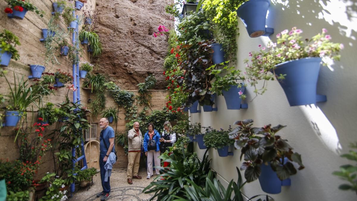 Patios 2026 Ruta 5 - Martín de Roa, 2