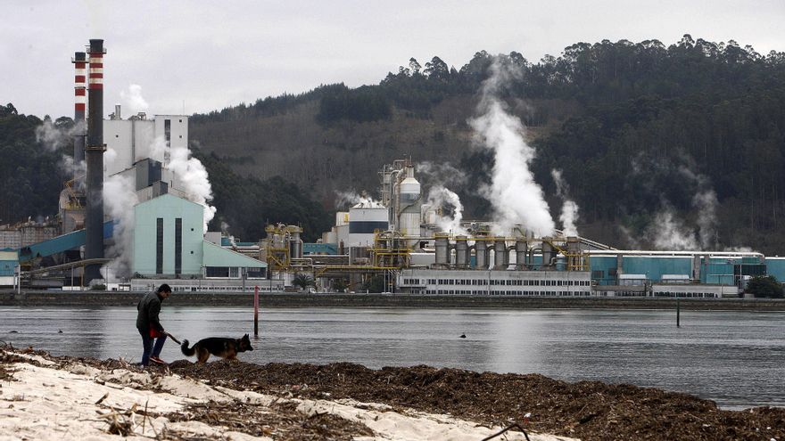 El Supremo avala que Ence mantenga su fábrica papelera en la ría de Pontevedra