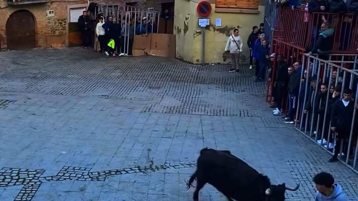 Denuncian la presencia de menores, "incluso bebés", en los encierros de un pueblo de La Rioja