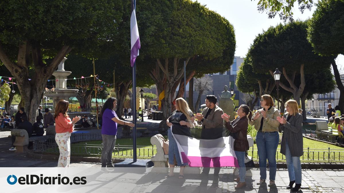 Las personas asexuales luchan contra la invisibilización:  Es importante que las leyes nos protejan frente a la violencia que recibimos 