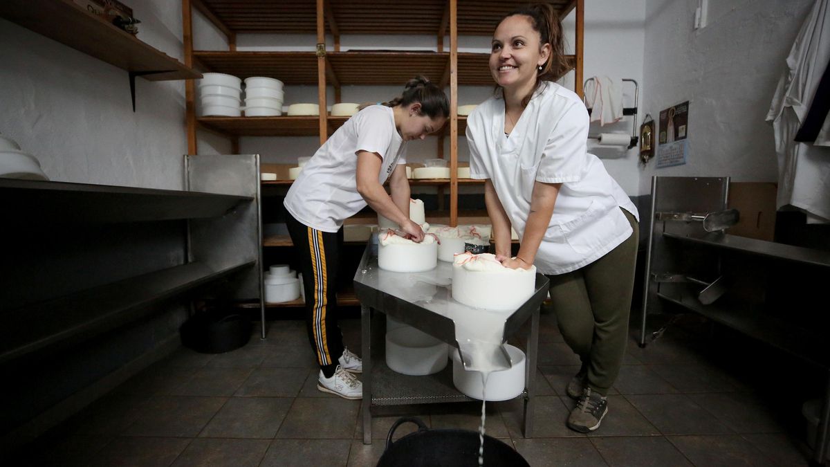 Las hermanas Belén y Yohana Mendoza presionan la cuajada dentro de los moldes para eliminar el suero restante y conformar el queso.