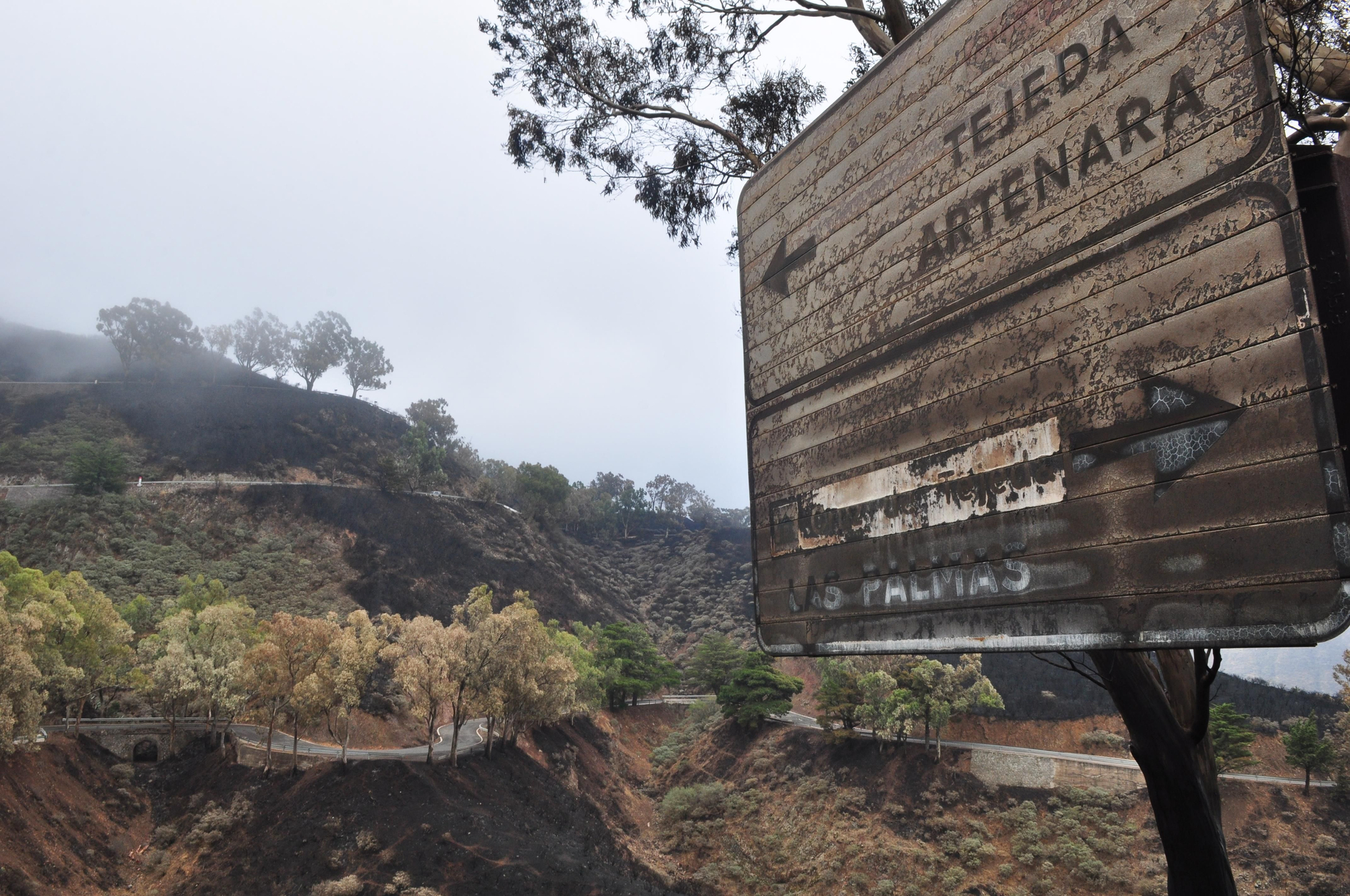 Efectos del incendio en la Cruz de Tejeda. (ÁNGEL SARMIENTO)