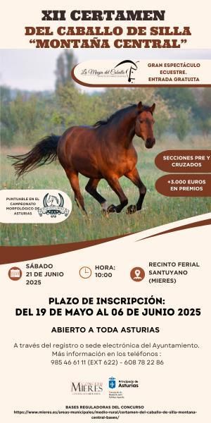 Certamen de Caballo de Silla Montaña Central