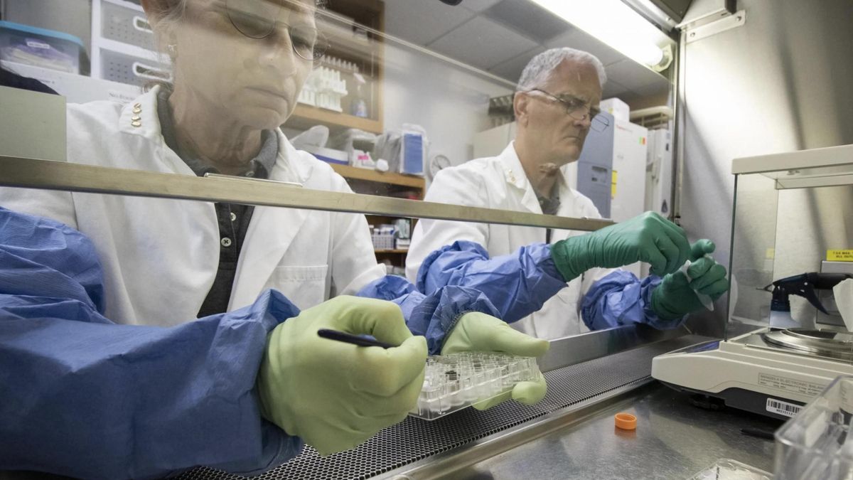 Científicos trabajando con plantas sobre regolito lunar en un experimento anterior.
