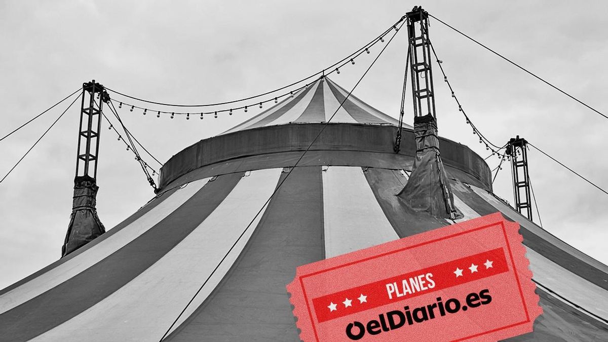Acrobacias, diversión y entradas a precio especial: el circo te espera