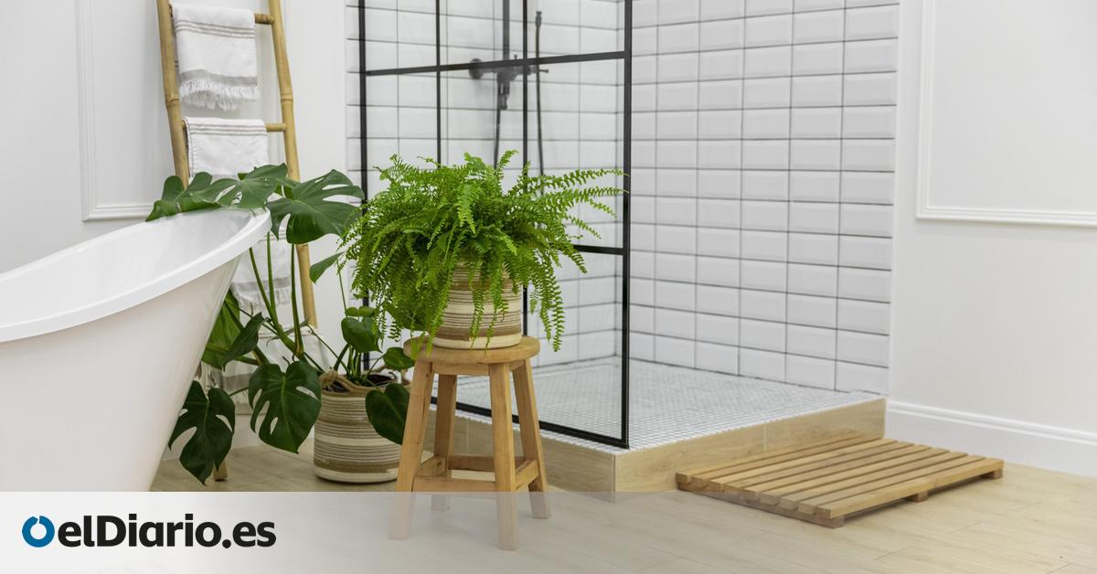 창문이 없는 욕실을 환기시키는 방법은 무엇입니까? 이렇게 하면 습기가 있어도 곰팡이가 생기는 것을 방지할 수 있습니다. 창문이 없는 욕실을 환기시키는 방법은 무엇입니까? 이렇게 하면 습기가 있어도 곰팡이가 생기는 것을 방지할 수 있습니다.