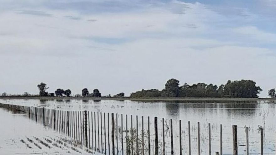 El fondo para prevenir inundaciones que se financia con la nafta tiene el 88% de su dinero colocado en deuda del Tesoro