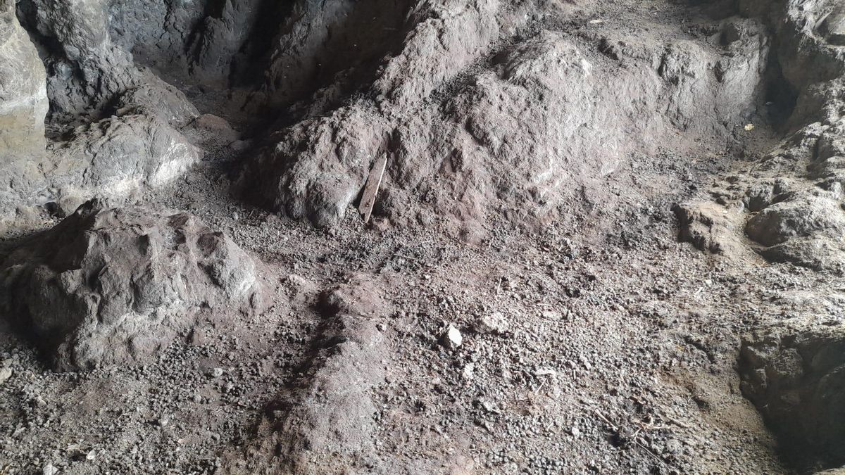 El suelo de la cueva que fue hogar del mencey Bencomo, lleno de excrementos de cabras.