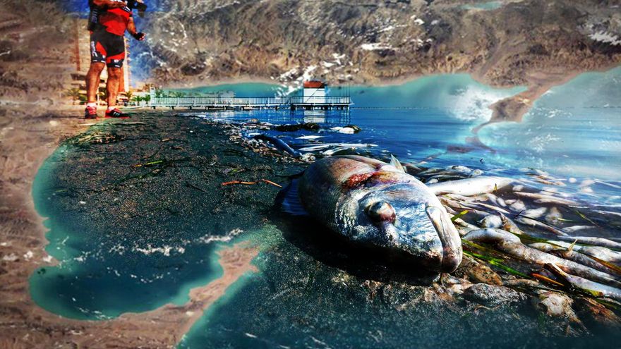 Peces muertos en el mar menor y foto aérea de la zona
