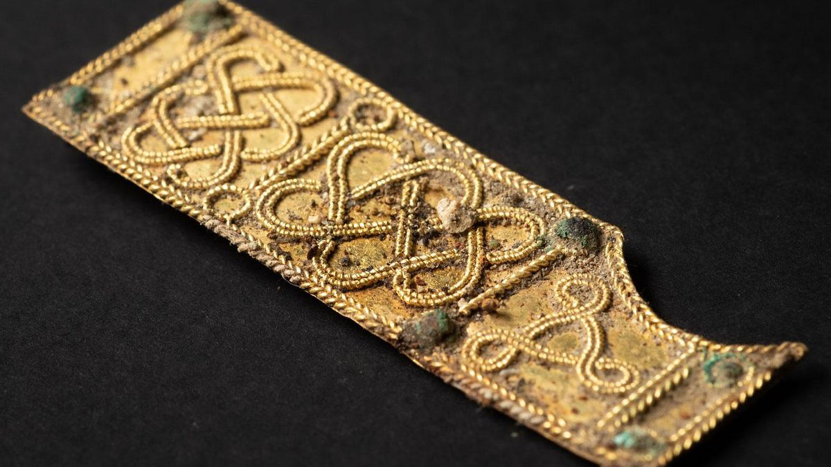 El análisis forense reveló que el niño murió a causa de una infección provocada por una otitis no tratada