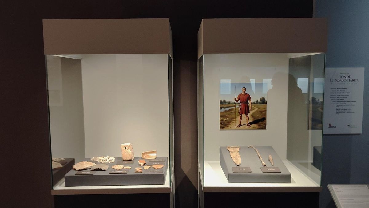 Vitrinas de piezas romanas de Cabezón de Pisuerga en la exposición temporal 'Donde el Pasado Habita'.