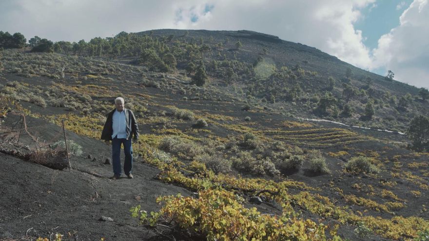 La Denominación de Origen Vinos La Palma lanza un spot navideño con un mensaje “positivo, vitalista y esperanzador”