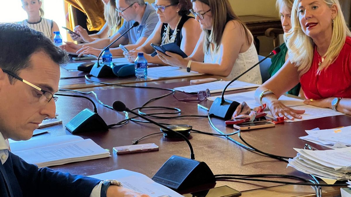 El portavoz socialista, Pedro Herrero, en primer plano ante la teniente de alcalde de Vox, Irene Carvajal