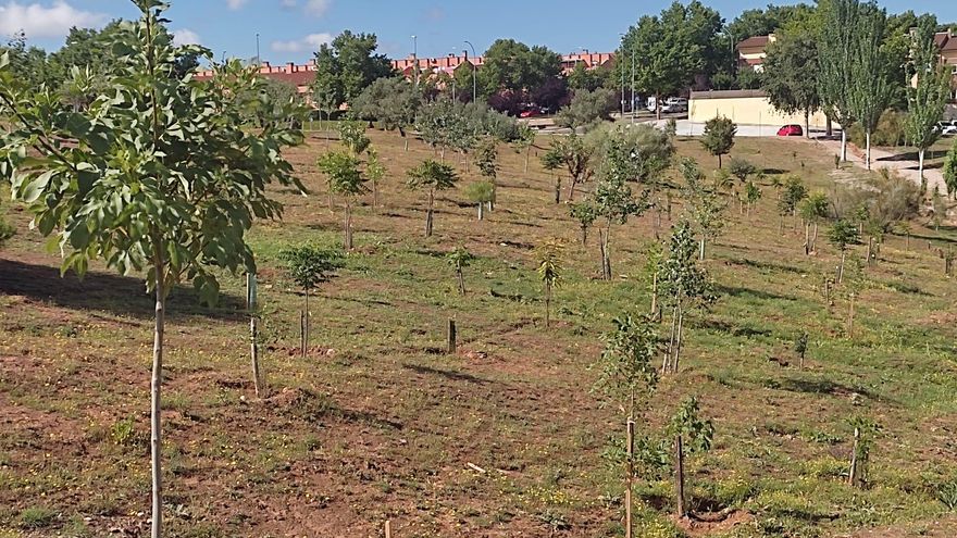 Ecologistas en Acción denuncia que el Ayuntamiento de Guadalajara "quiere acabar" con el bosque urbano de Aguas Vivas