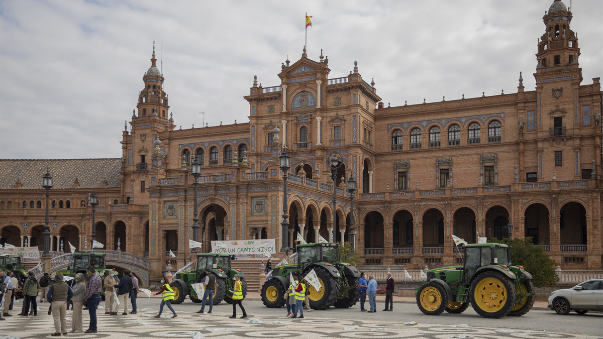 Tractores de toda la provincia llegan este martes hasta la Plaza de España de Sevilla para protestar contra Mercosur