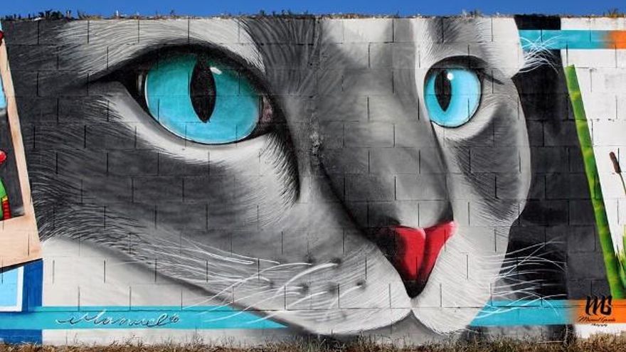 Gato en la Protectora de Animales y Plantas de León. Auror: Manuel García.