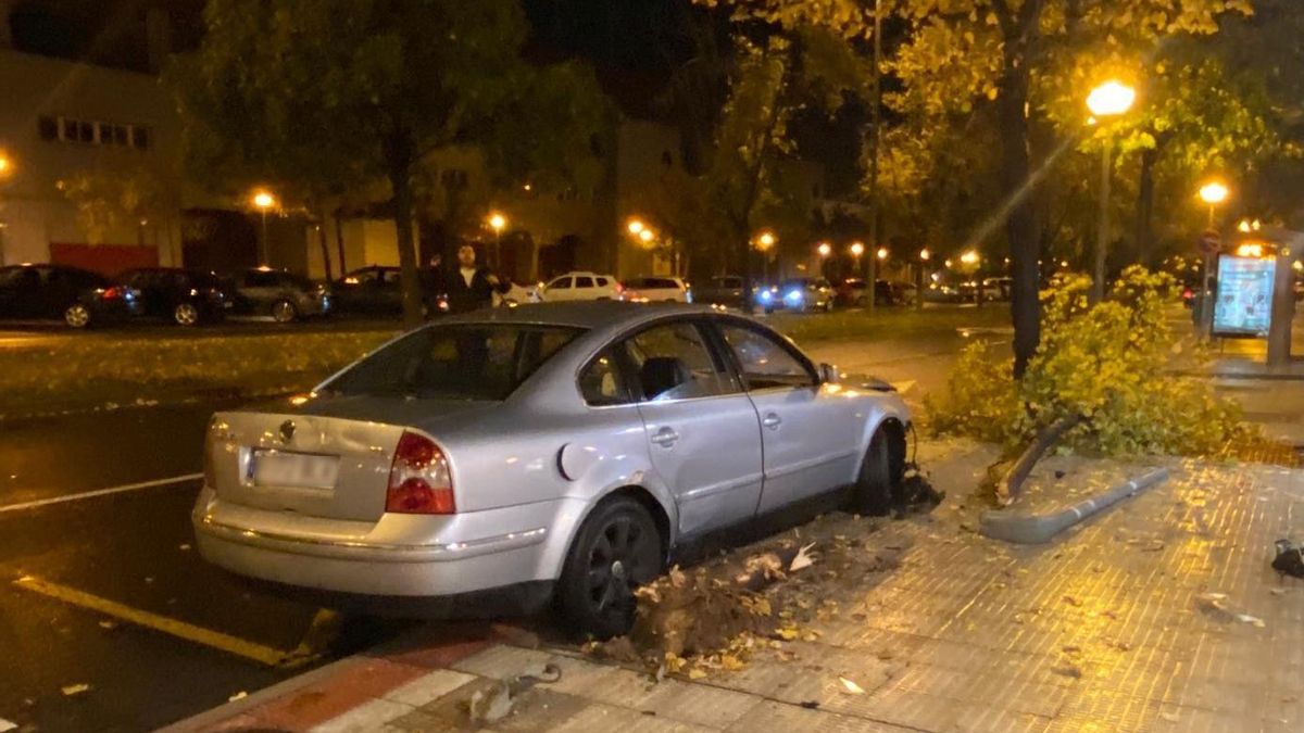 Se empotra contra una farola y un árbol en Logroño, se da al fuga, pero es detenido por la Policía Local