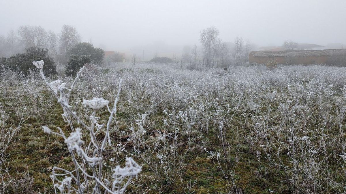 La cencellada pinta de blanco la comarca del Páramo leonés