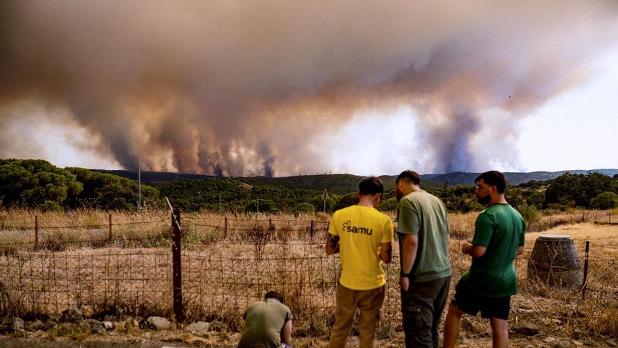 El incendio de Niebla salta a la provincia de Sevilla y obliga al desalojo puerta a puerta de El Madroño y cuatro pedanías