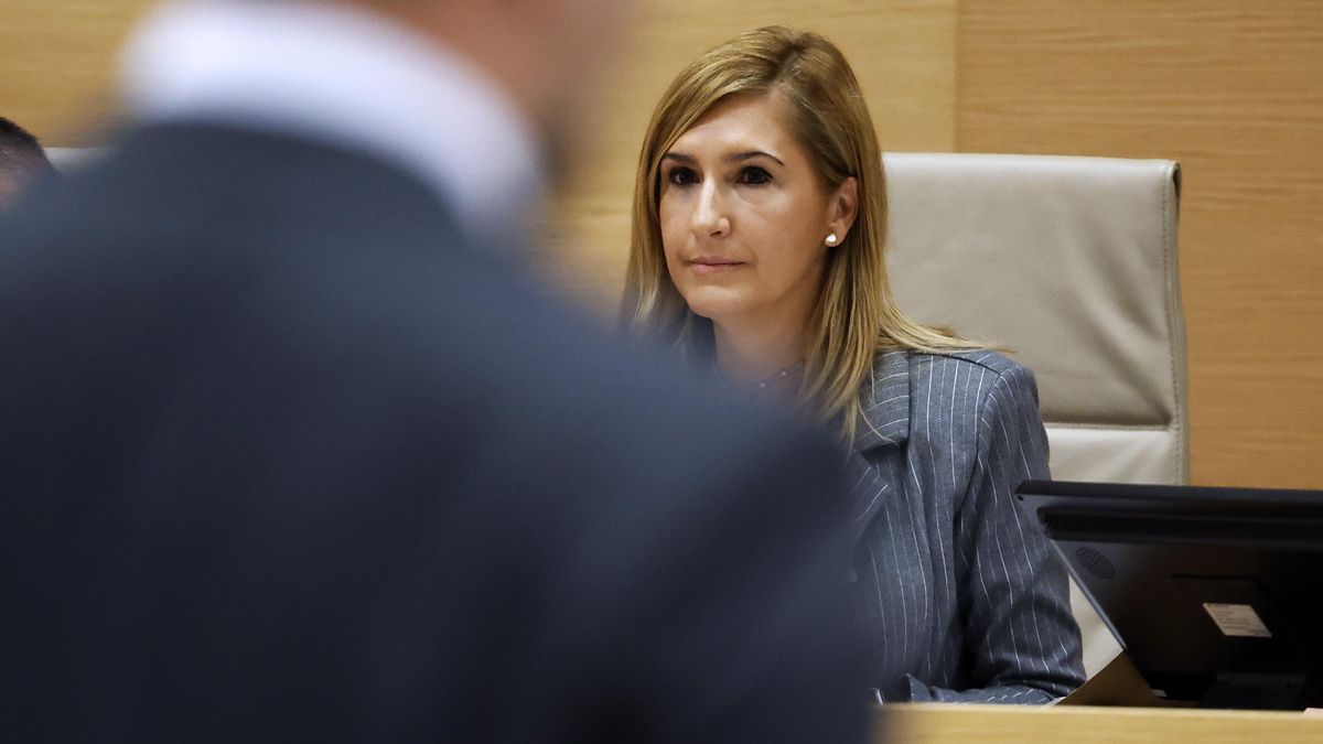 Pradas se escuda en la "selva normativa" de Emergencias y se niega a responder en la investigación de la dana en el Congreso