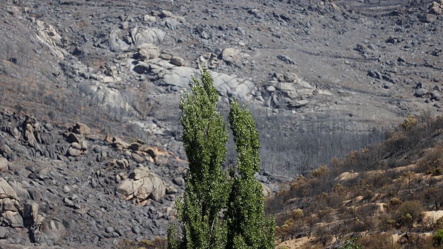 Casado se une a la petición para declarar zona catastrófica el fuego en Ávila